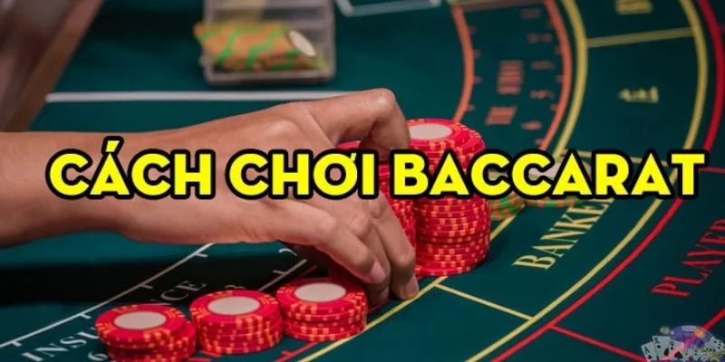 Hướng dẫn cách chơi Baccarat online cho tân thủ 