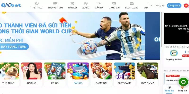 Những chuyên mục thể thao 8XBET đặc sắc